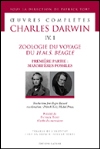 Zoologie du voyage du H.M.S. Beagle. Premire partie : Mammifres fossiles - Patrick Tort